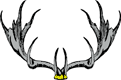 Antlers