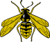 Bee 1