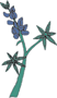 Bluebonnet