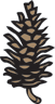 Pine Cone