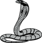 Cobra